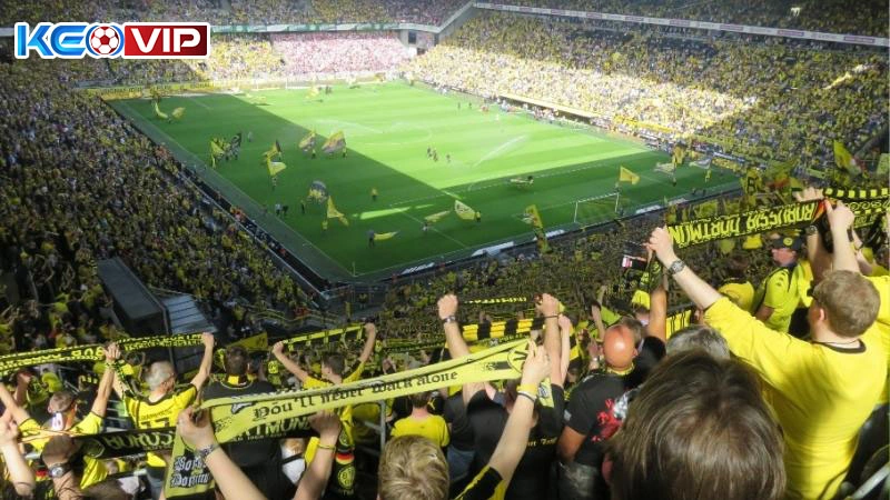 Chú ý đến tính chất trận đấu