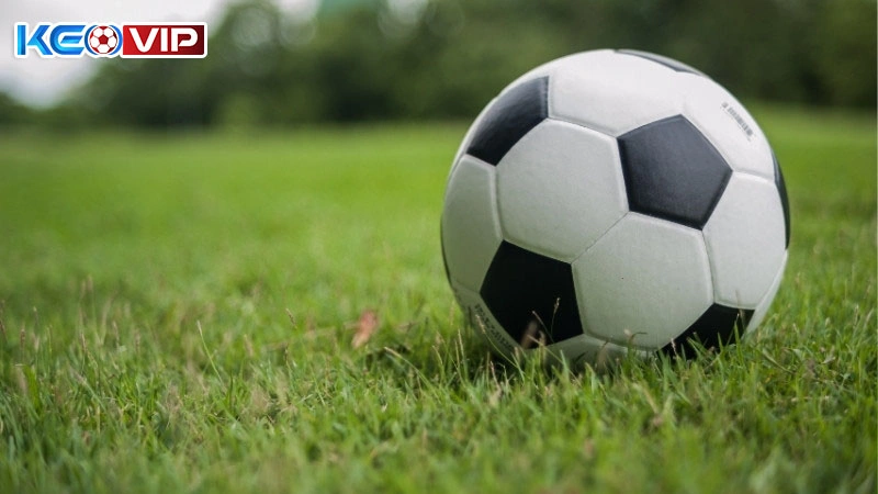 Nắm chắc các kiến thức về bóng