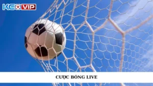 Cược Bóng Live - Hướng Dẫn Chi Tiết Và Chiến Lược Hiệu Quả