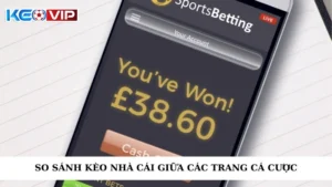 So Sánh Kèo Nhà Cái Giữa Các Trang Cá Cược Mới Nhất 2025